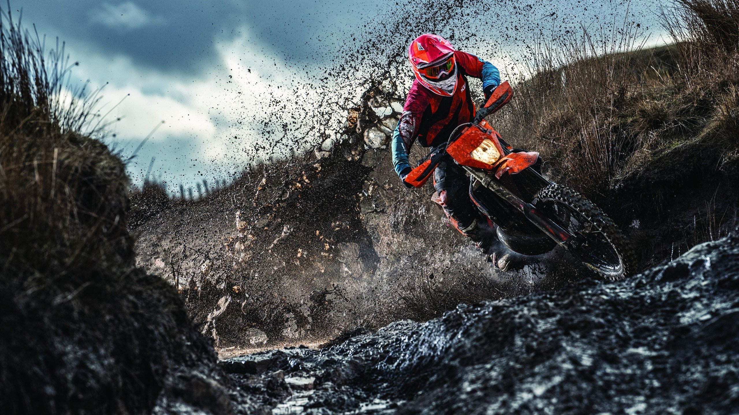 深圳队对阵鹈鹕，约基奇关键时刻站出来，诠释何为定海神针